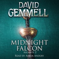 Midnight Falcon